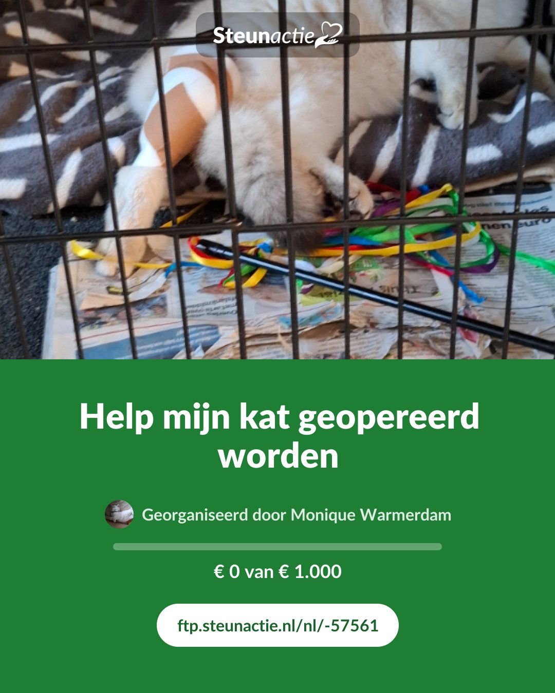 Voorbeeld van de afbeelding