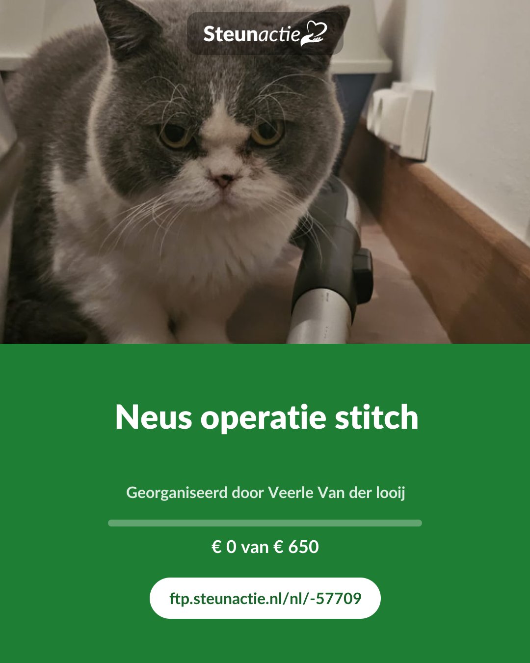 Voorbeeld van de afbeelding