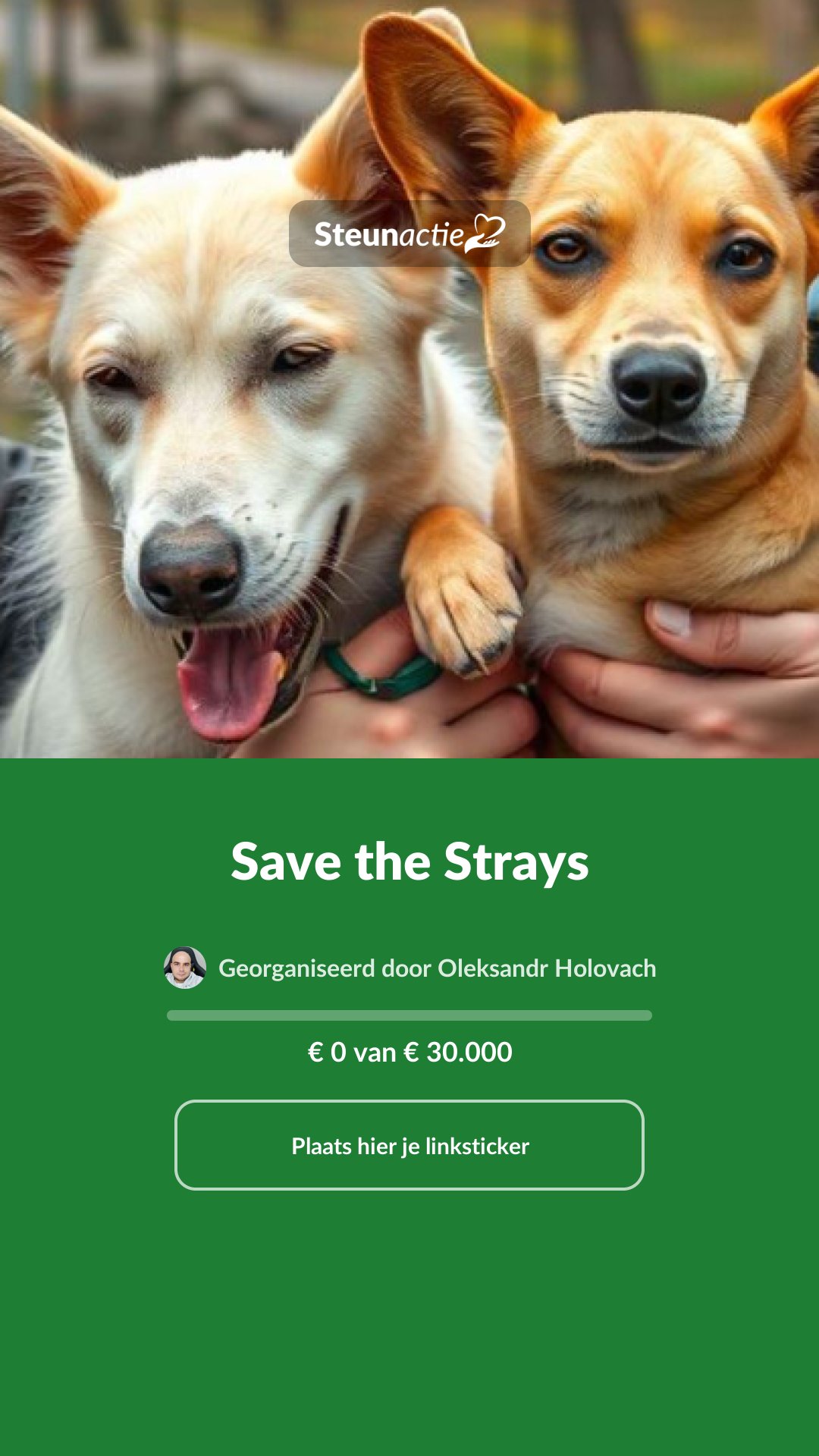 Voorbeeld van de afbeelding