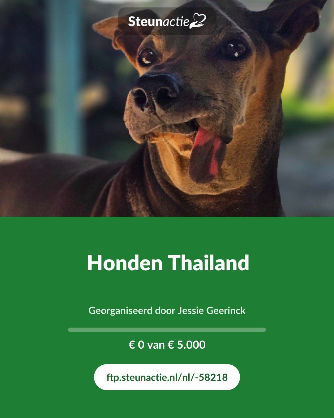 Voorbeeld van de afbeelding