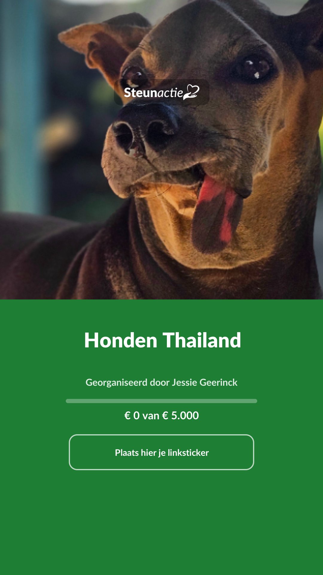 Voorbeeld van de afbeelding