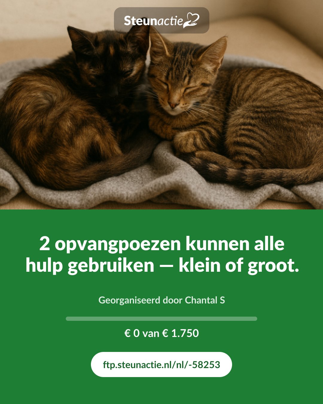 Voorbeeld van de afbeelding