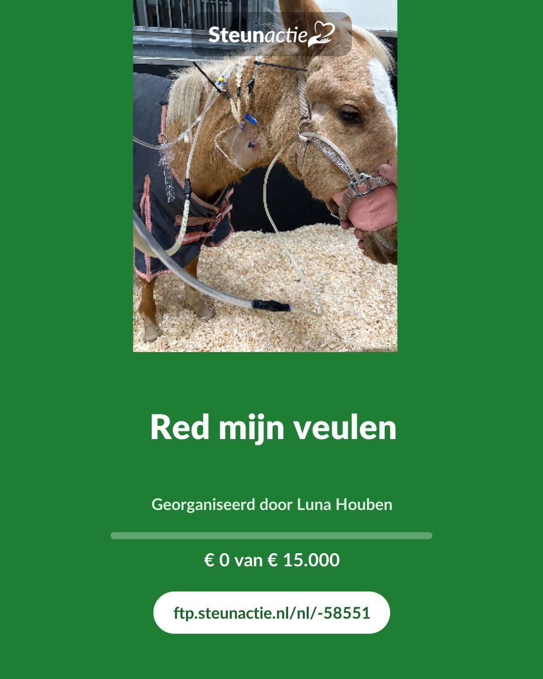 Voorbeeld van de afbeelding