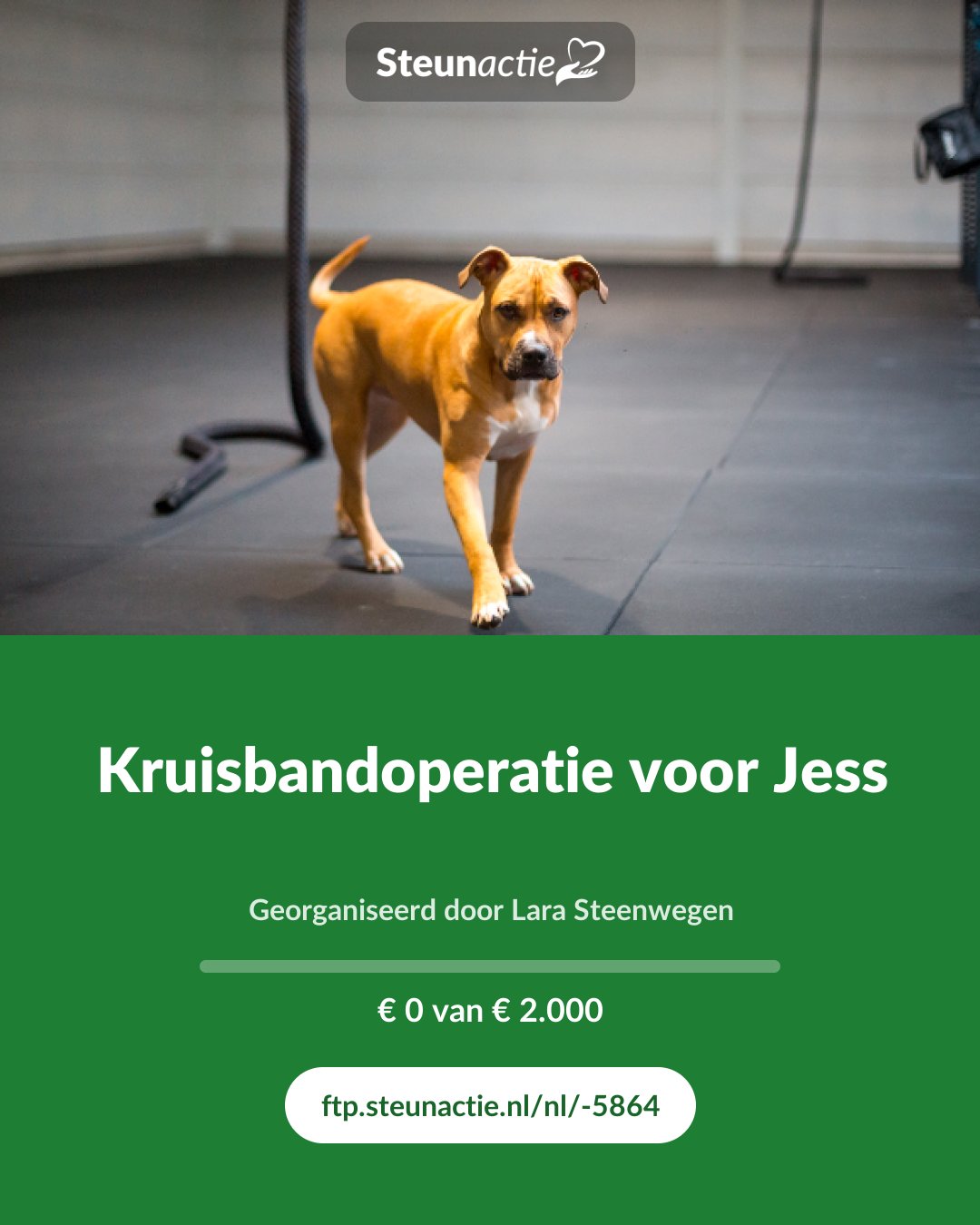 Voorbeeld van de afbeelding