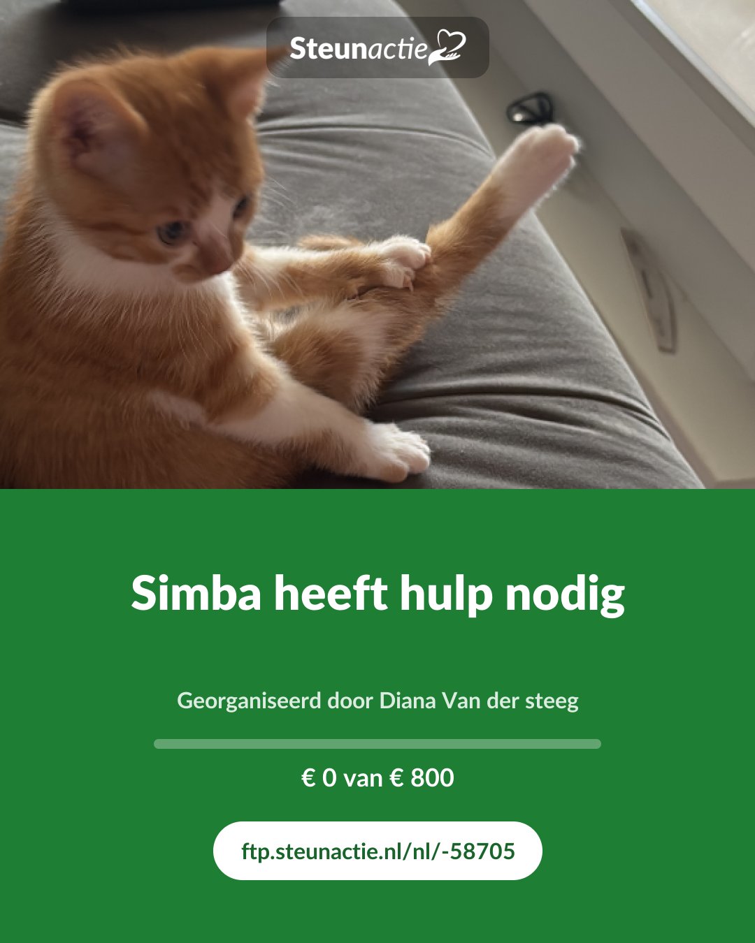 Voorbeeld van de afbeelding