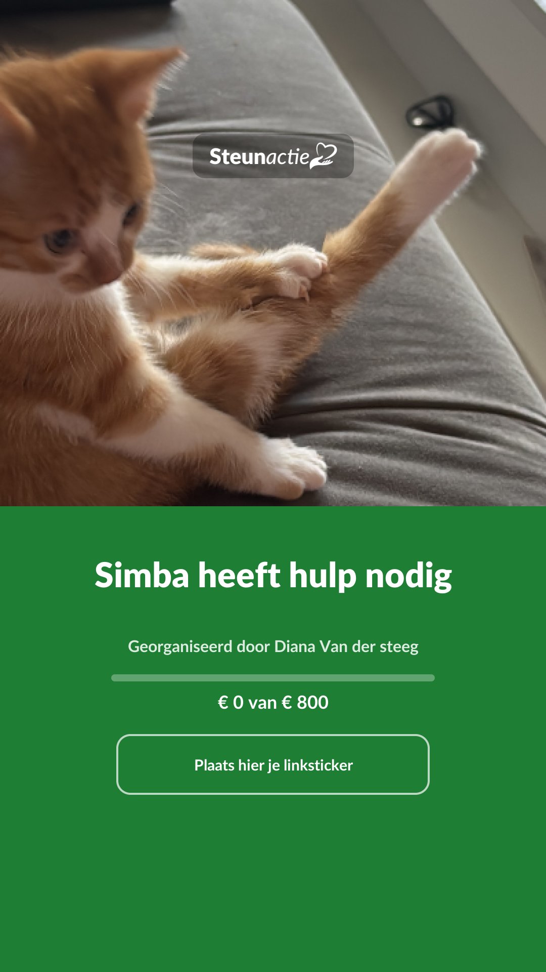 Voorbeeld van de afbeelding