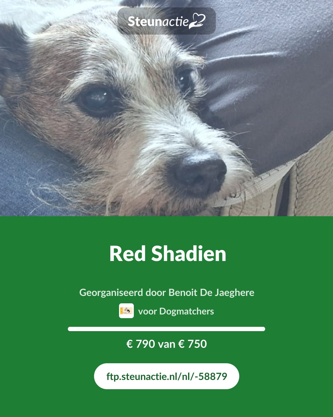 Voorbeeld van de afbeelding