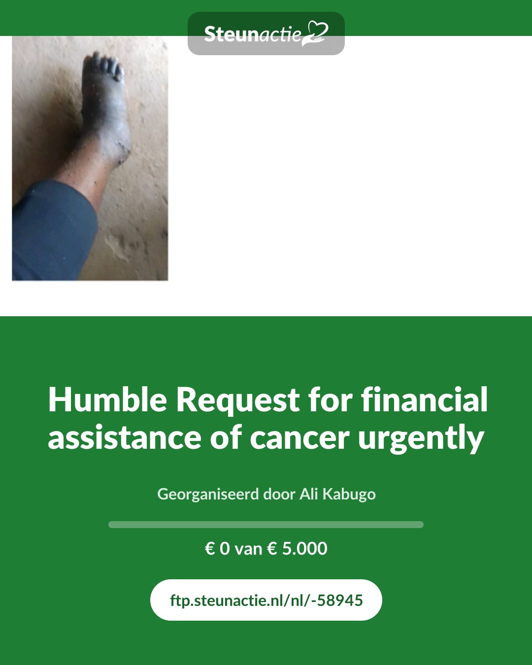 Voorbeeld van de afbeelding