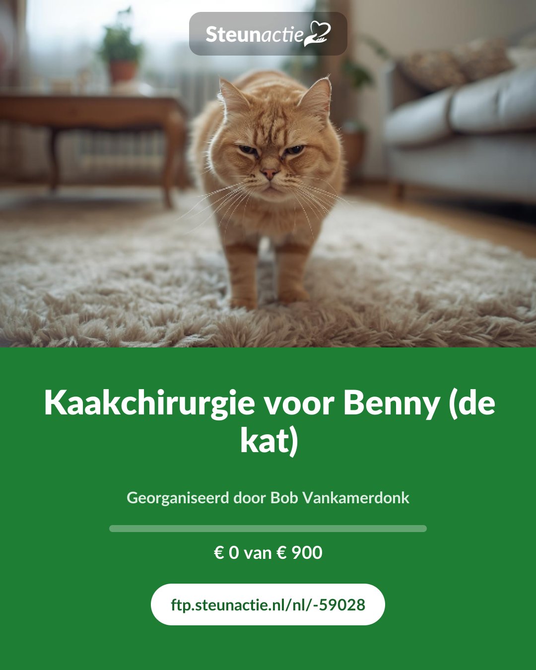 Voorbeeld van de afbeelding