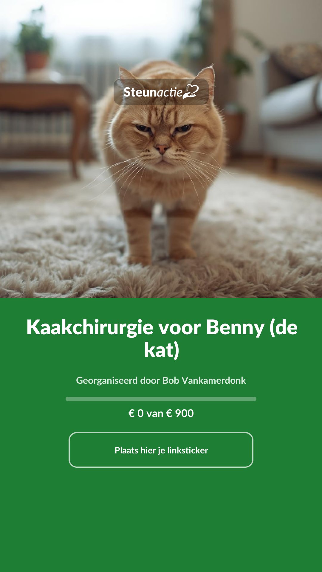 Voorbeeld van de afbeelding