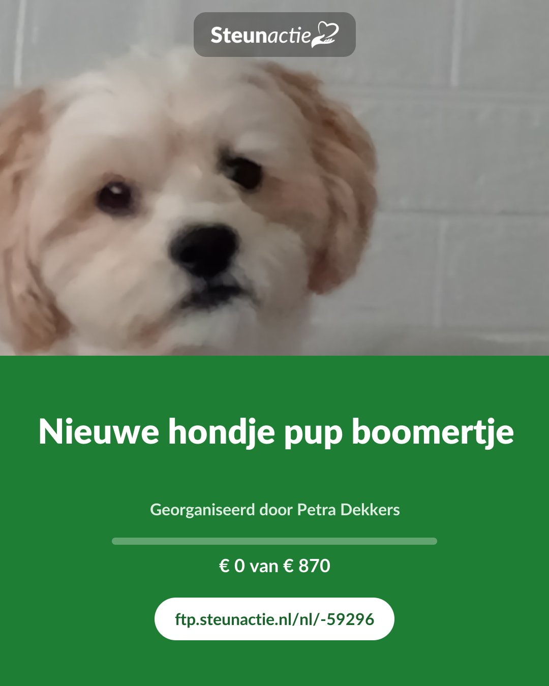 Voorbeeld van de afbeelding