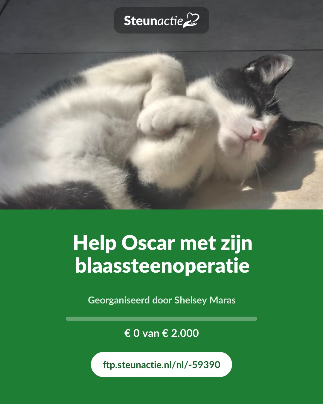 Voorbeeld van de afbeelding