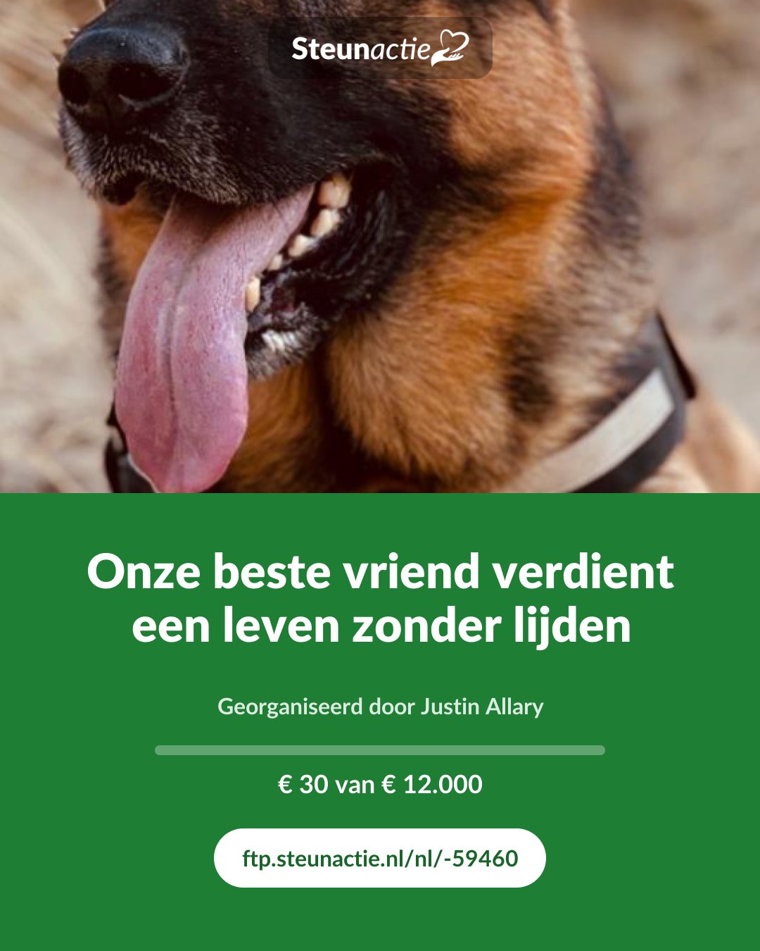 Voorbeeld van de afbeelding