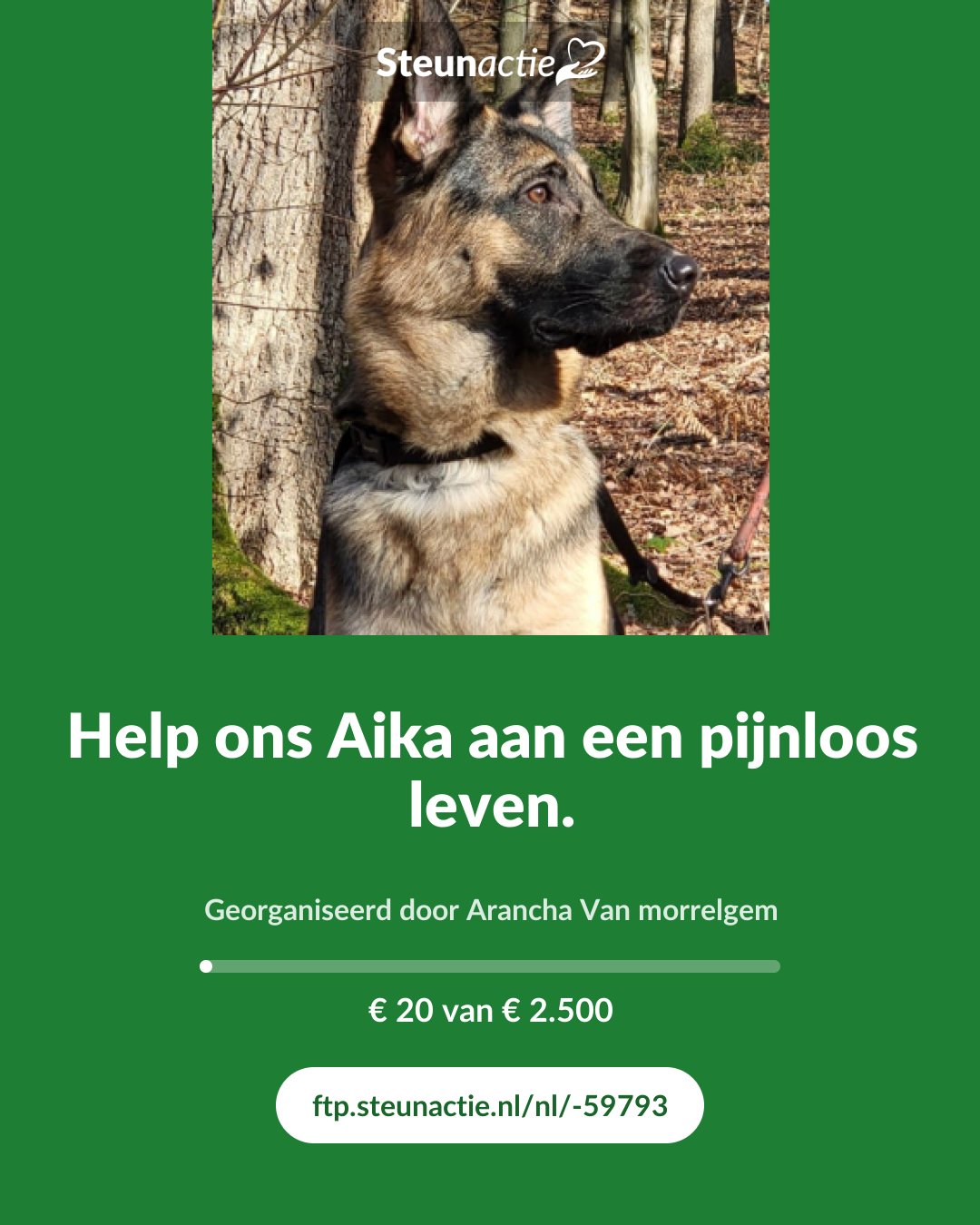 Voorbeeld van de afbeelding