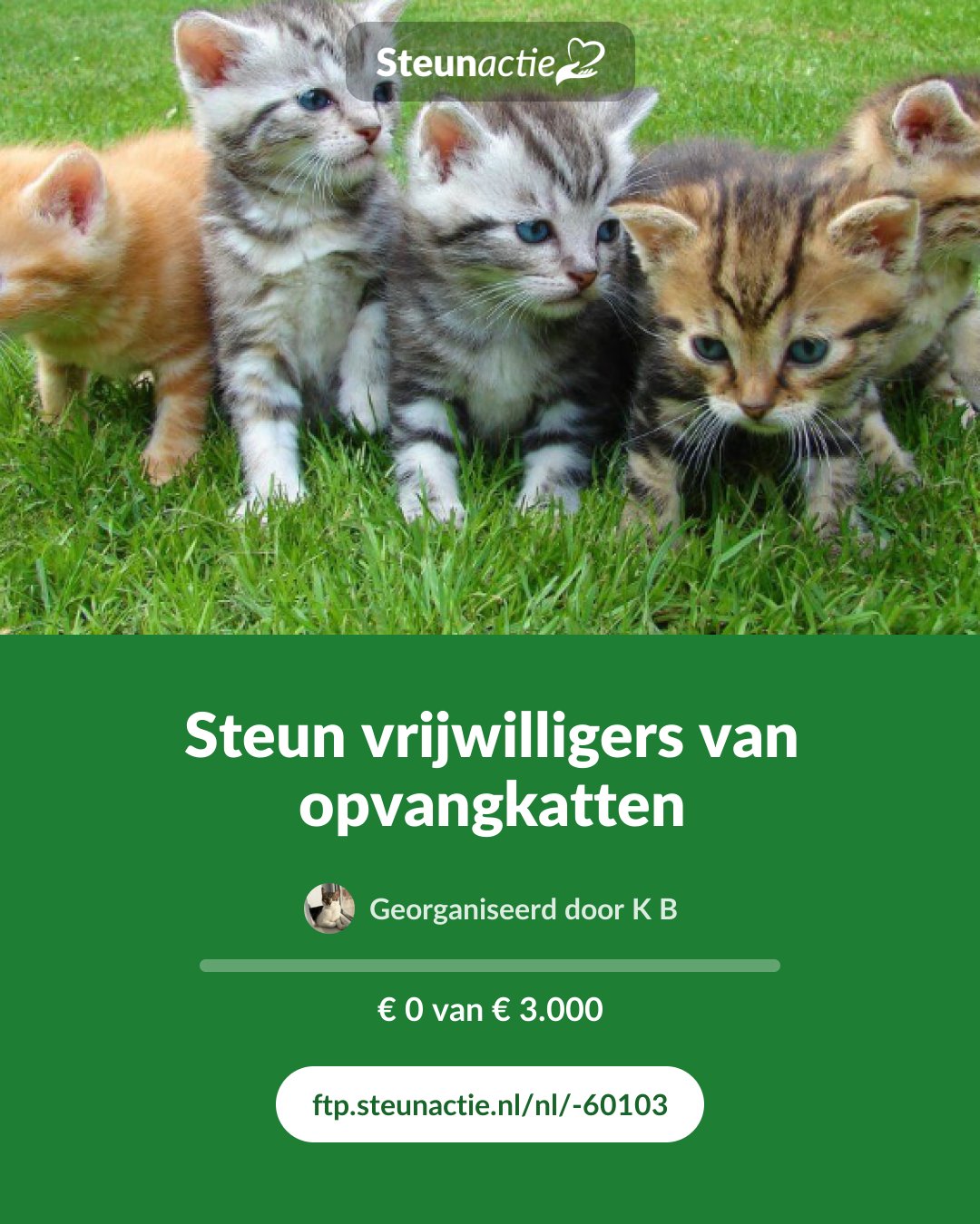 Voorbeeld van de afbeelding