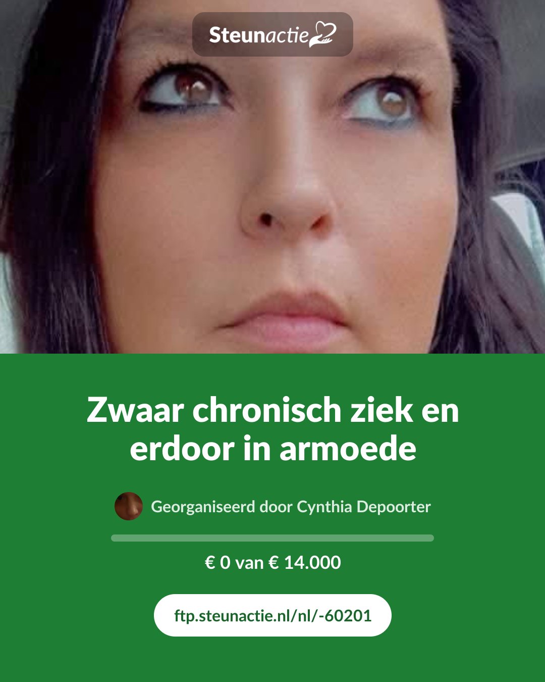 Voorbeeld van de afbeelding