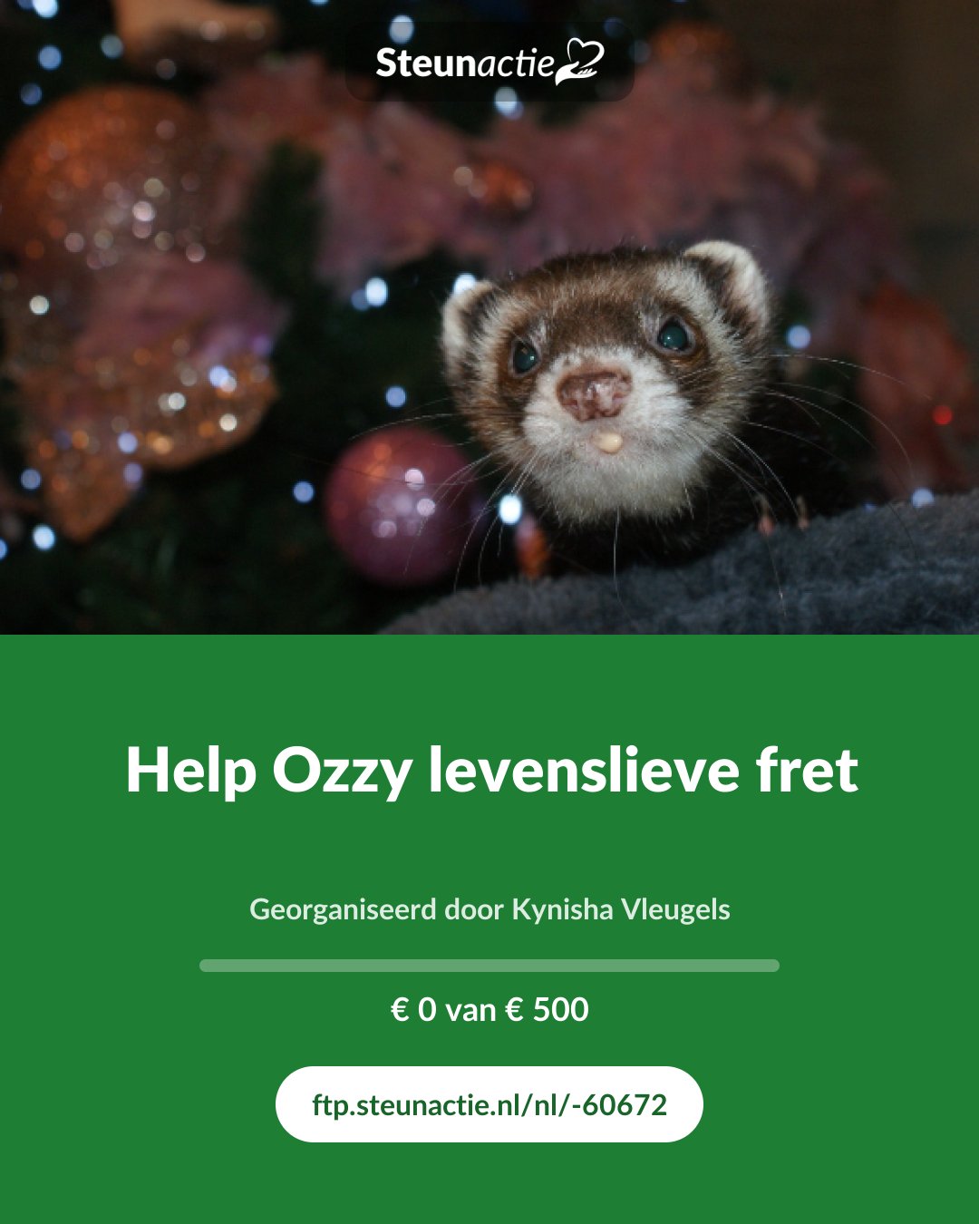 Voorbeeld van de afbeelding
