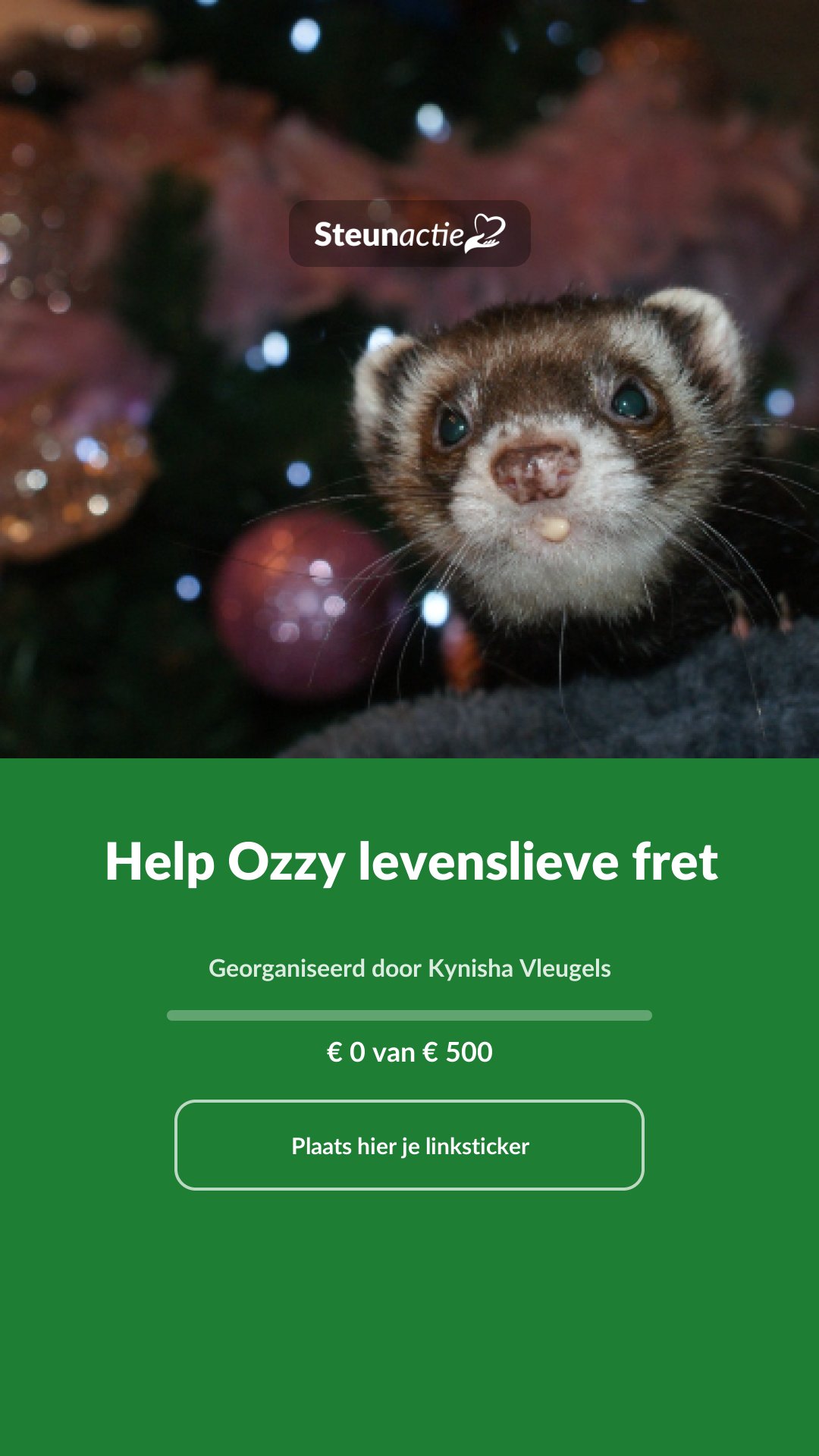 Voorbeeld van de afbeelding