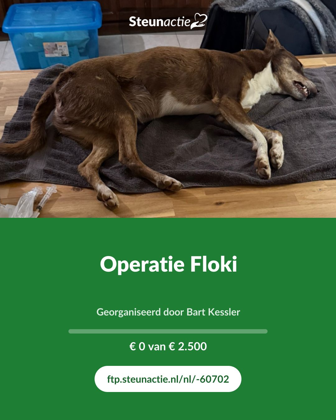 Voorbeeld van de afbeelding