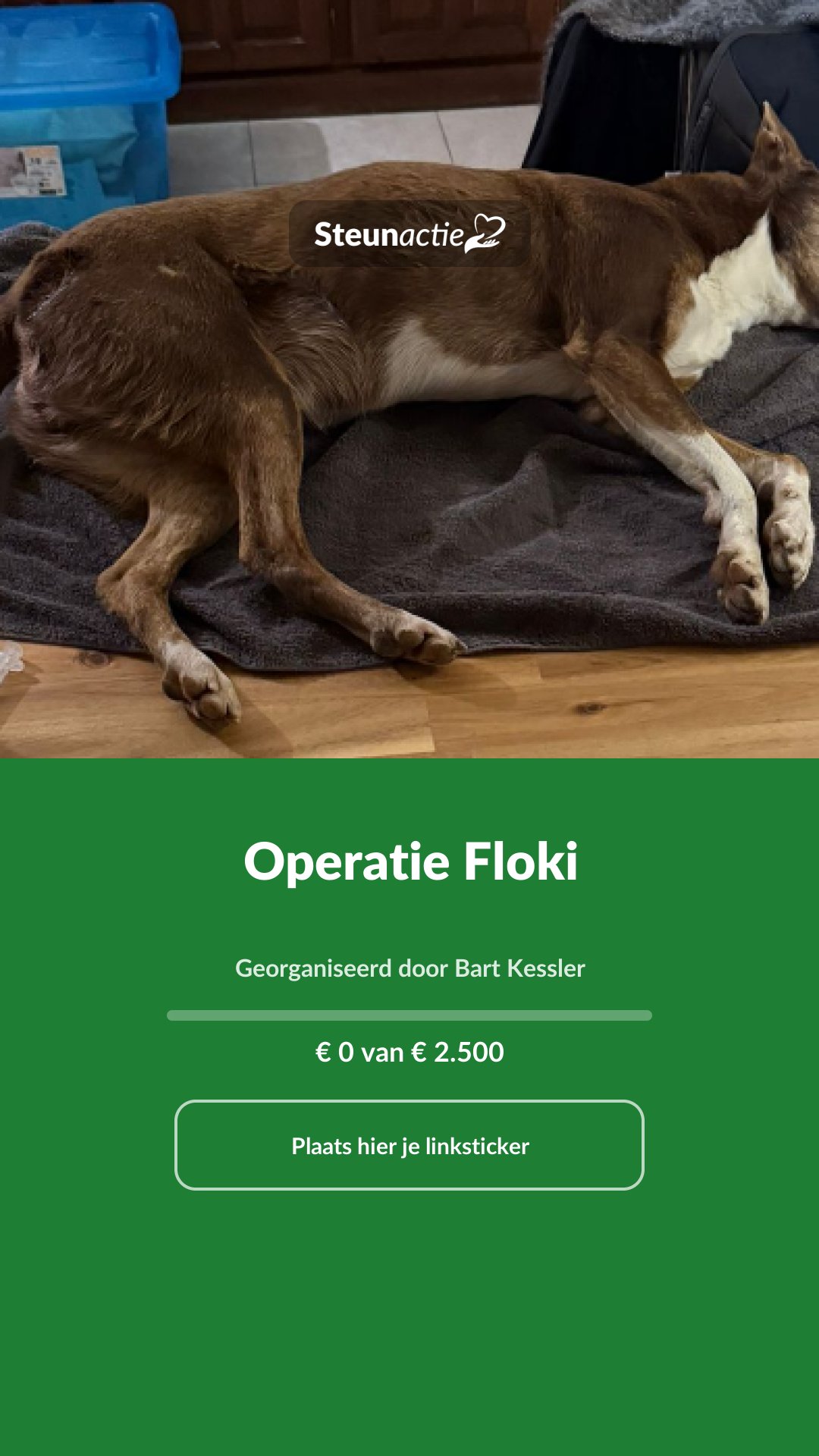 Voorbeeld van de afbeelding