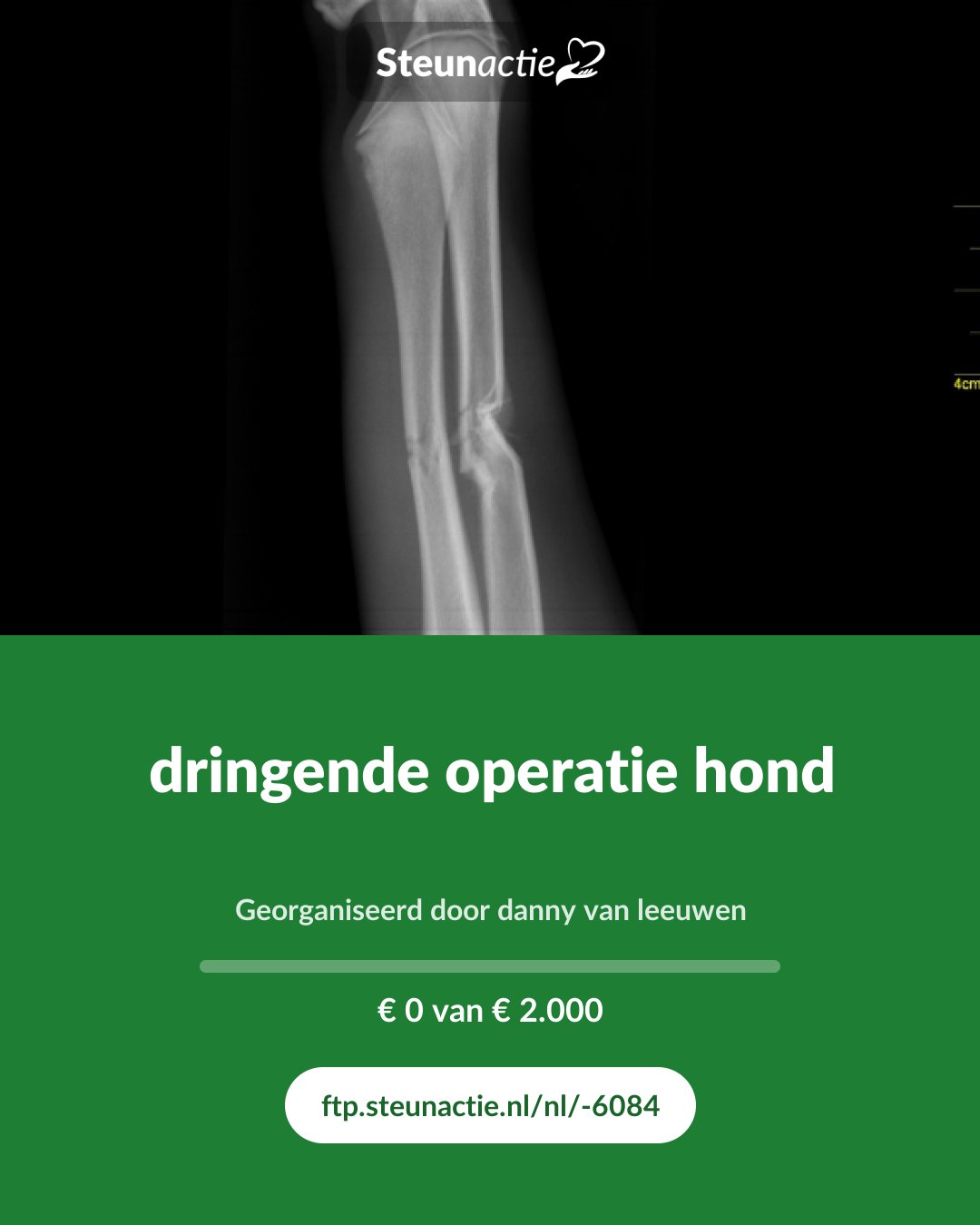 Voorbeeld van de afbeelding
