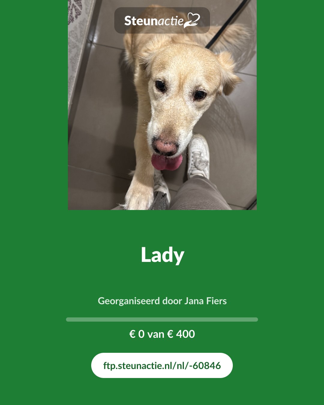Voorbeeld van de afbeelding