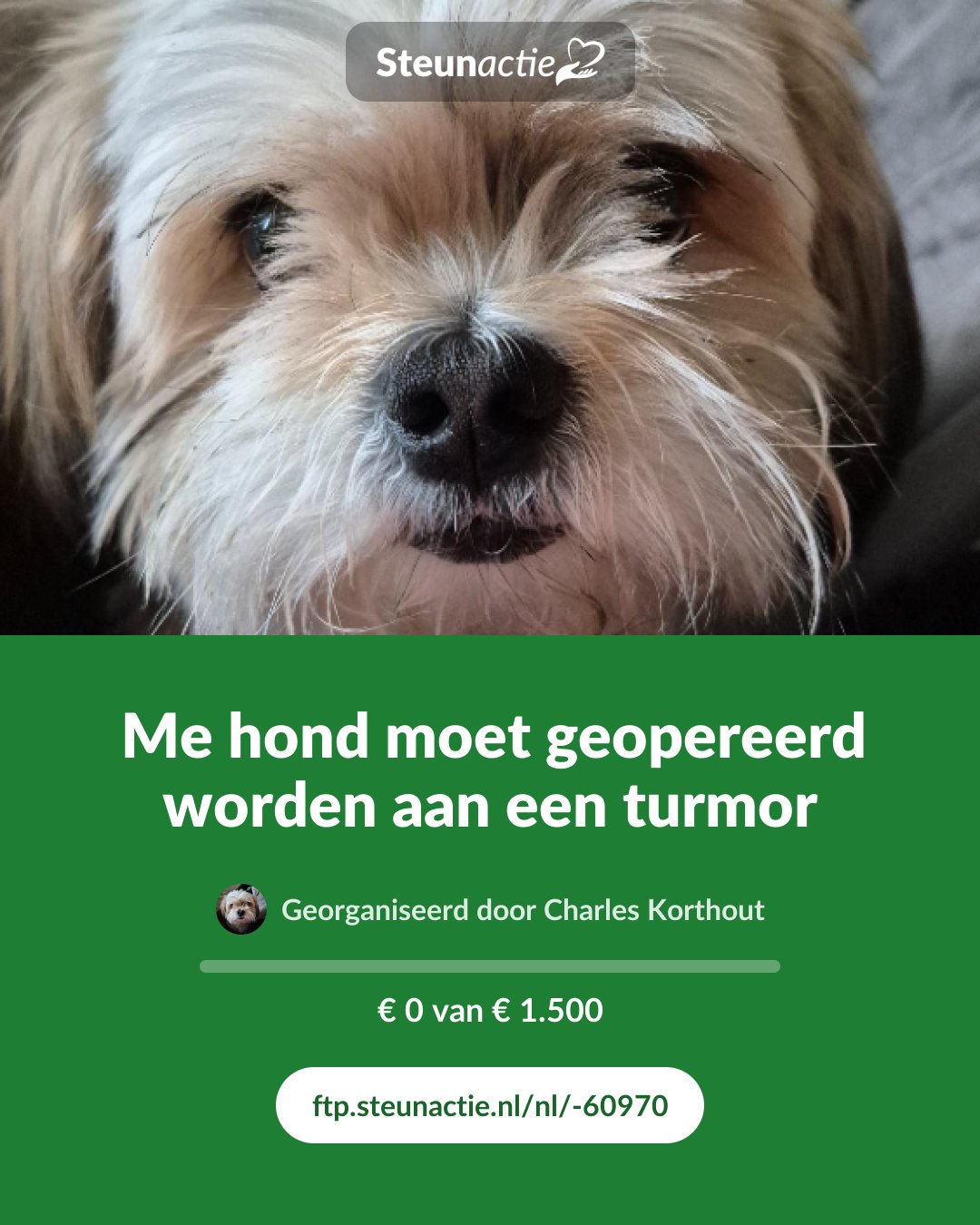 Voorbeeld van de afbeelding