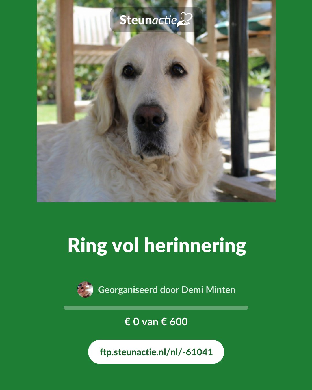 Voorbeeld van de afbeelding