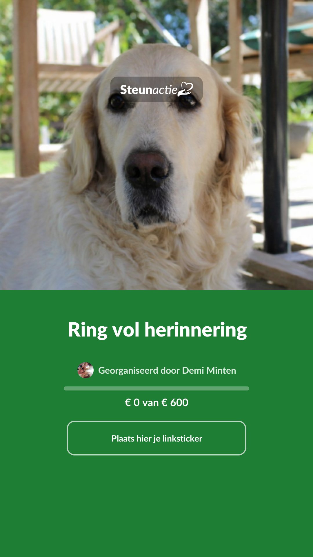 Voorbeeld van de afbeelding