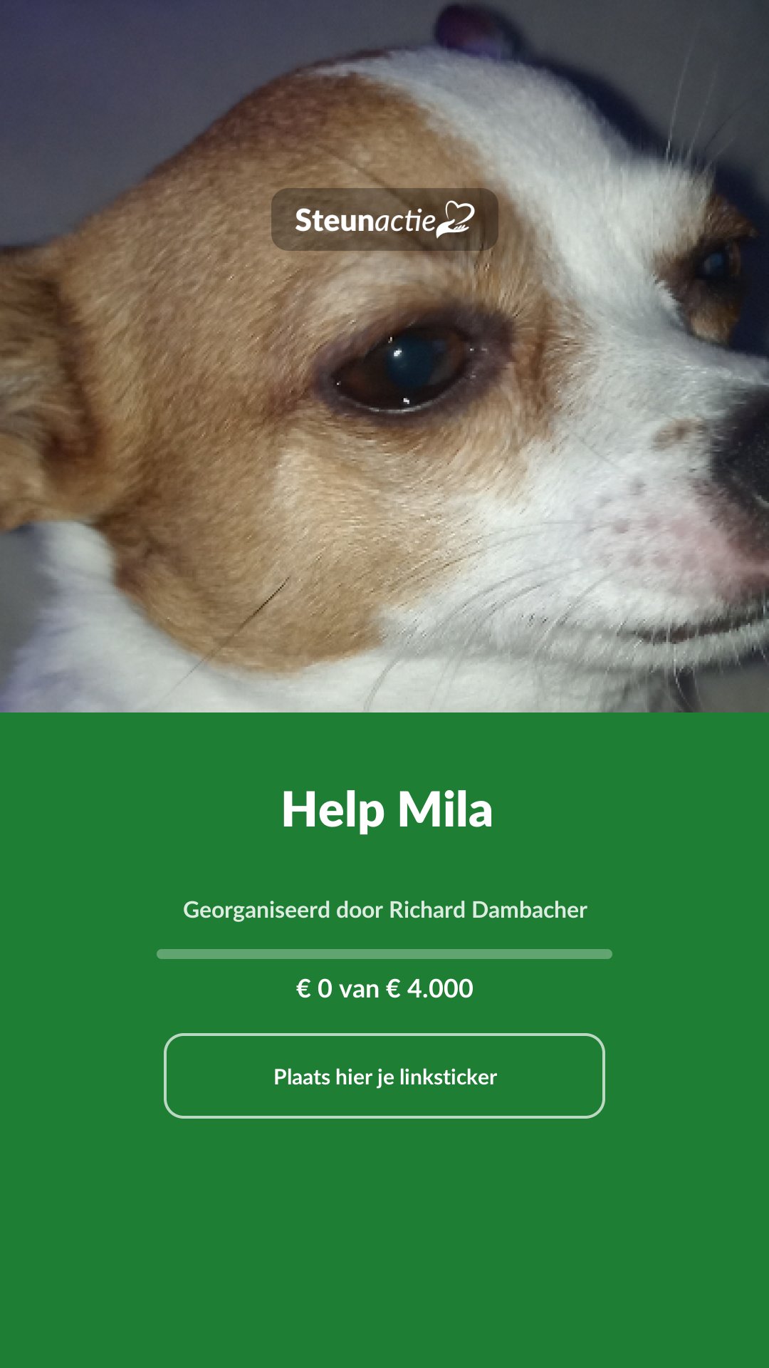 Voorbeeld van de afbeelding