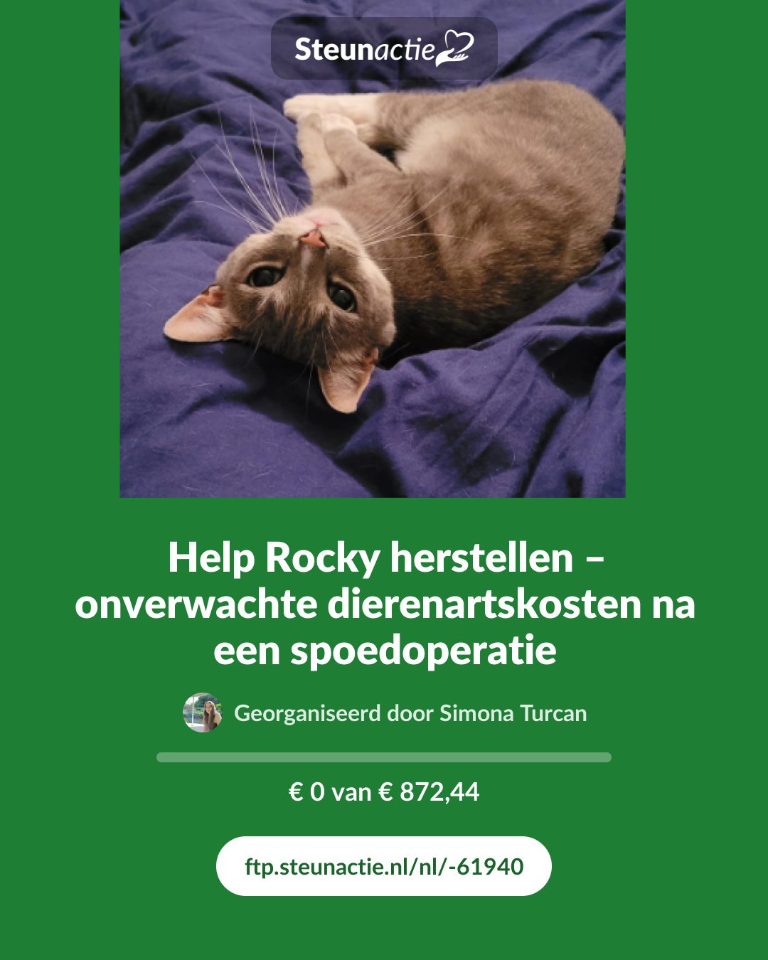 Voorbeeld van de afbeelding