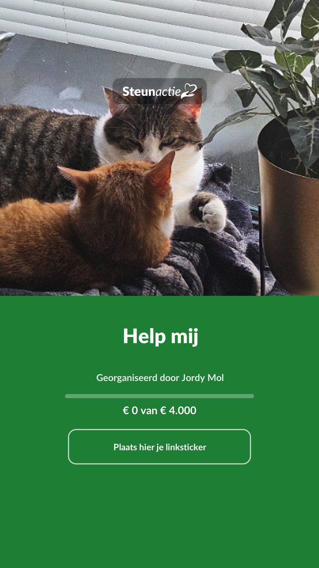 Voorbeeld van de afbeelding