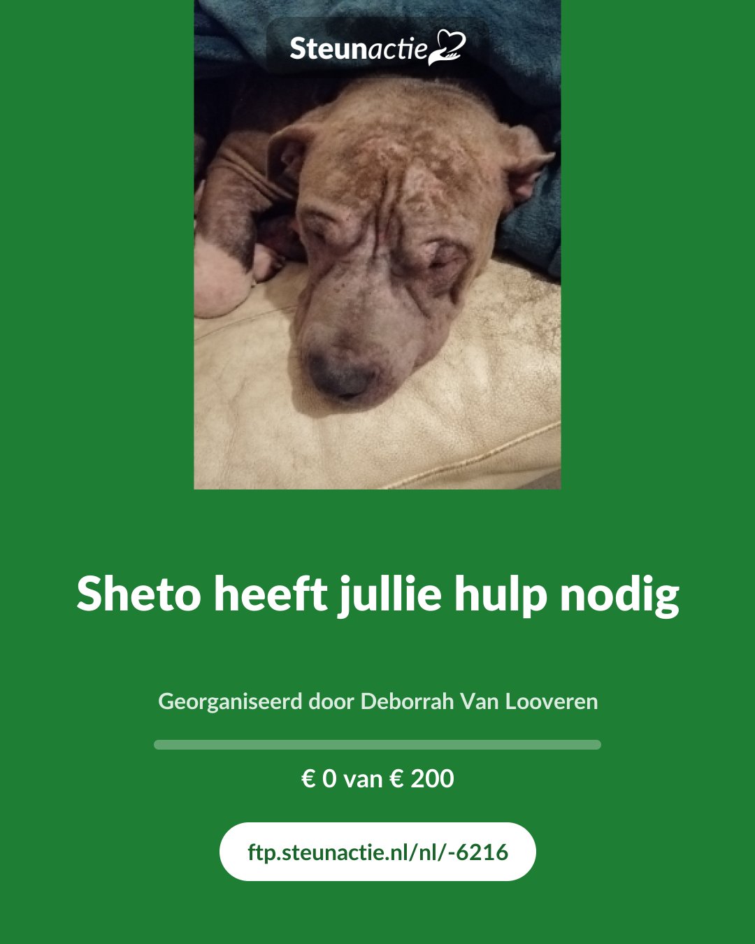 Voorbeeld van de afbeelding