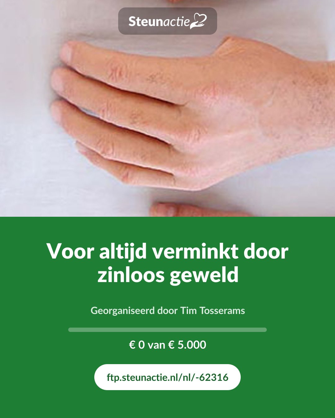Voorbeeld van de afbeelding