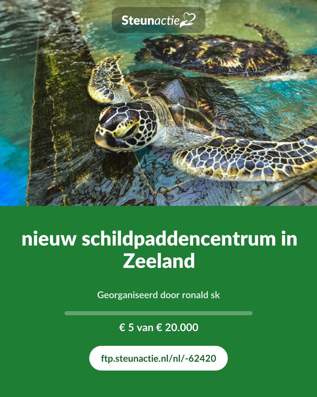 Voorbeeld van de afbeelding