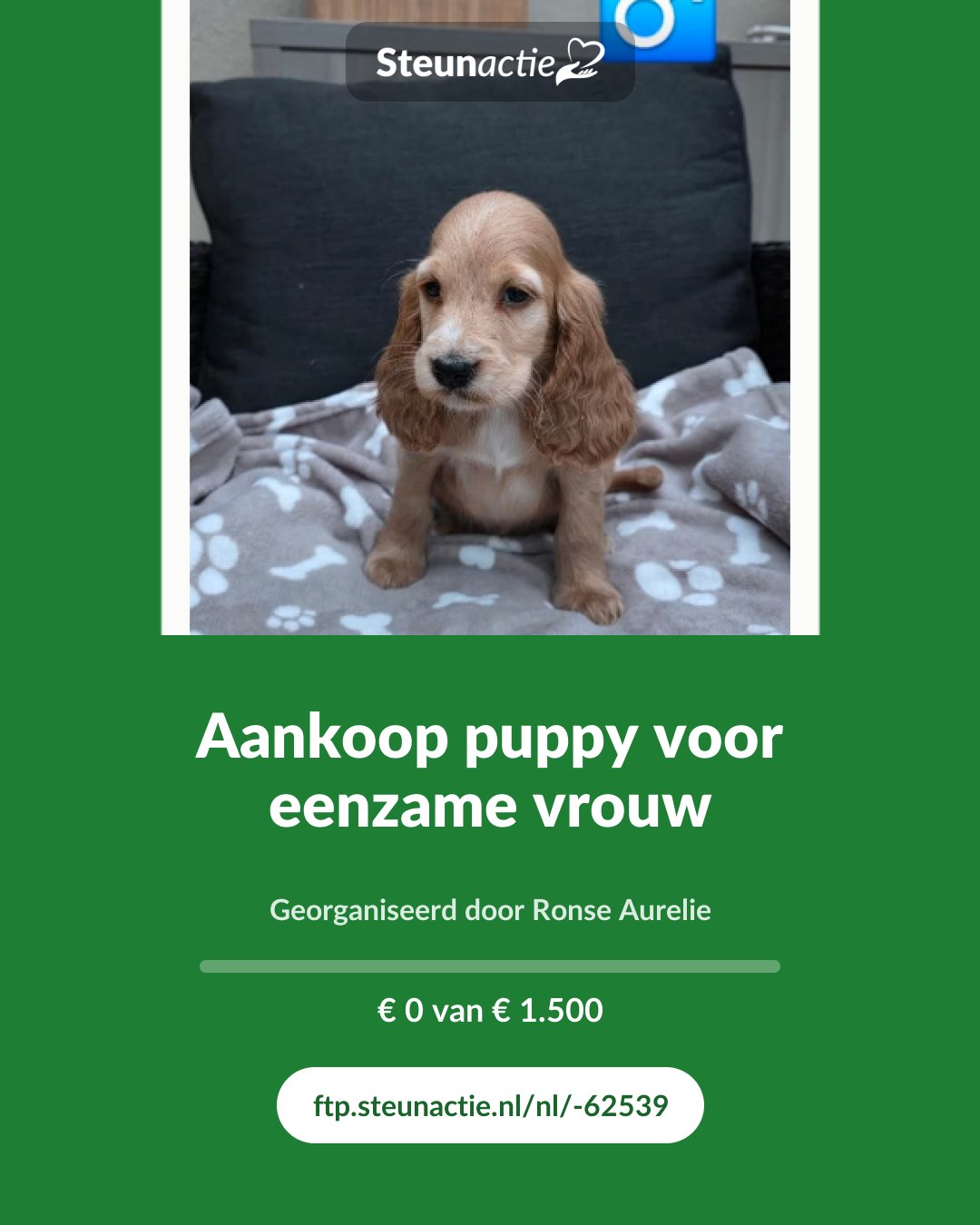 Voorbeeld van de afbeelding