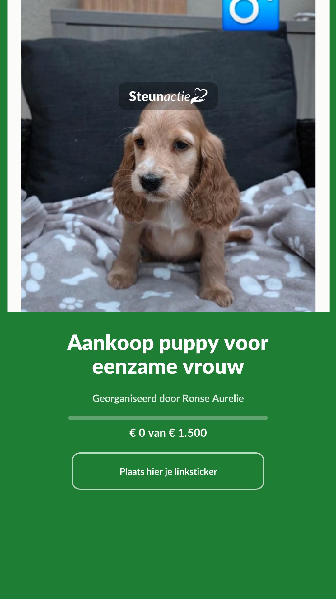 Voorbeeld van de afbeelding
