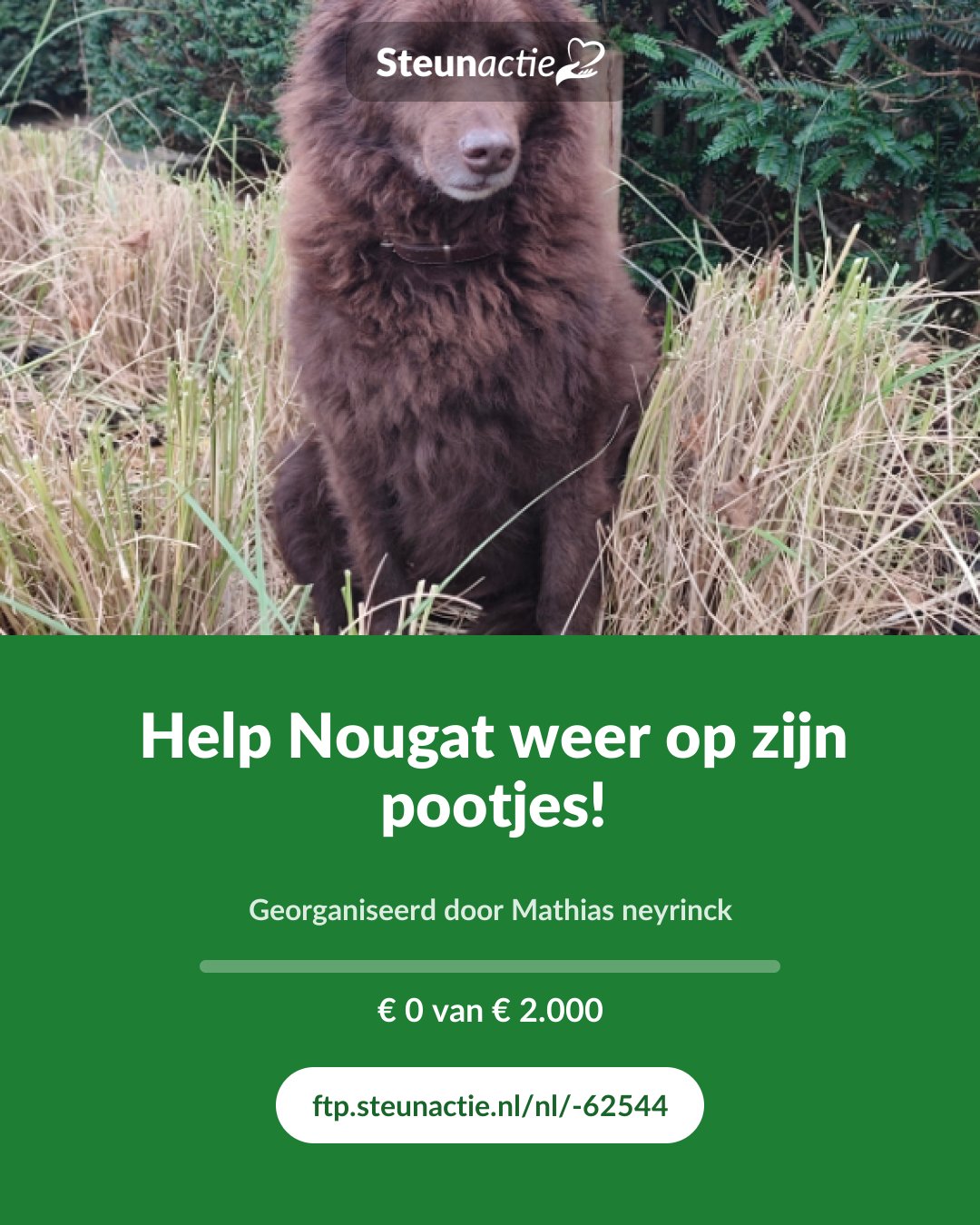 Voorbeeld van de afbeelding