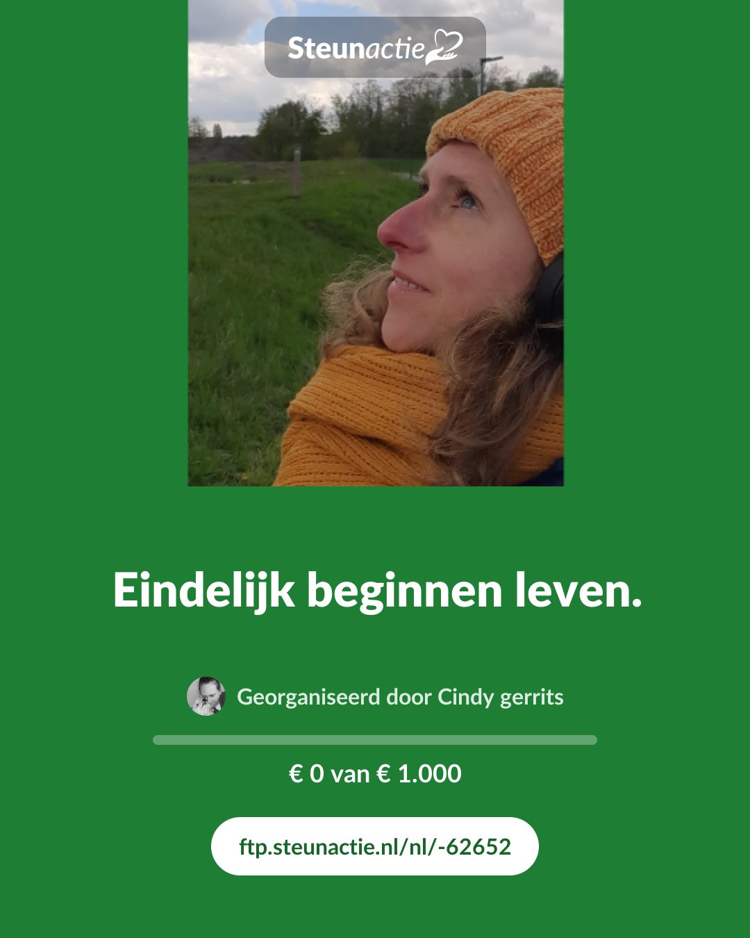 Voorbeeld van de afbeelding