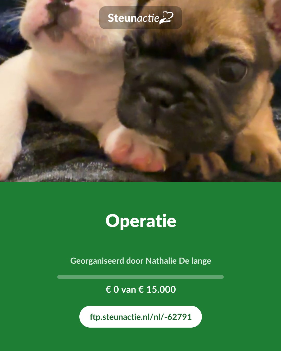 Voorbeeld van de afbeelding