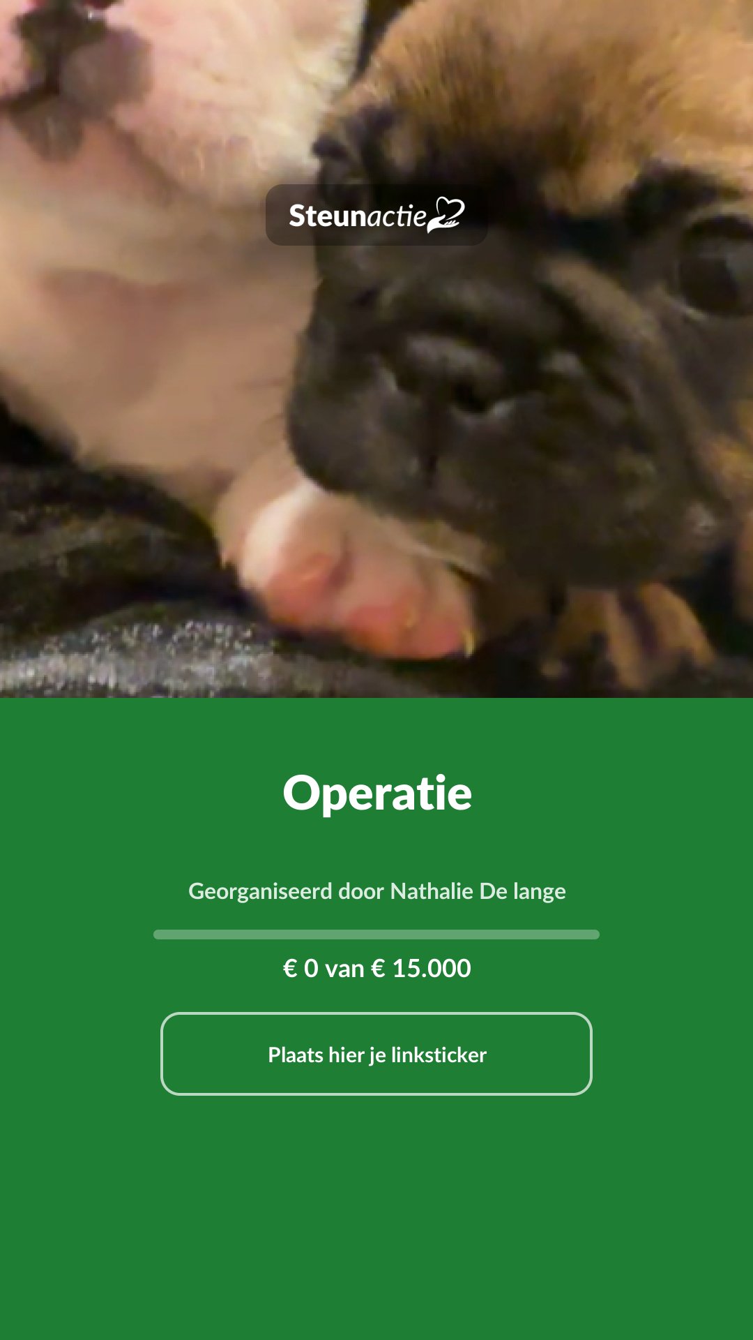 Voorbeeld van de afbeelding