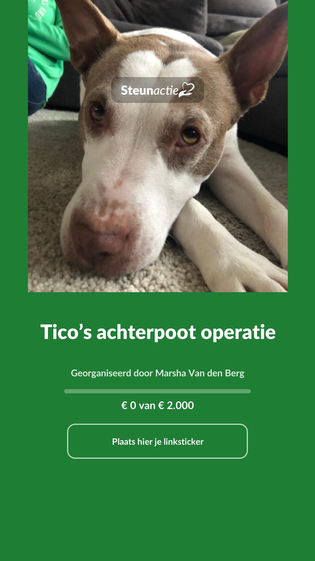Voorbeeld van de afbeelding