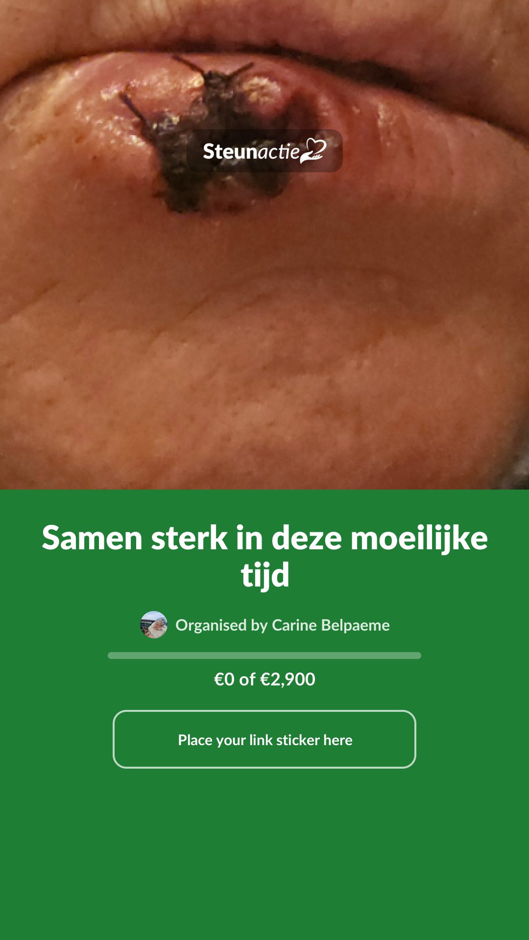 Preview of the image