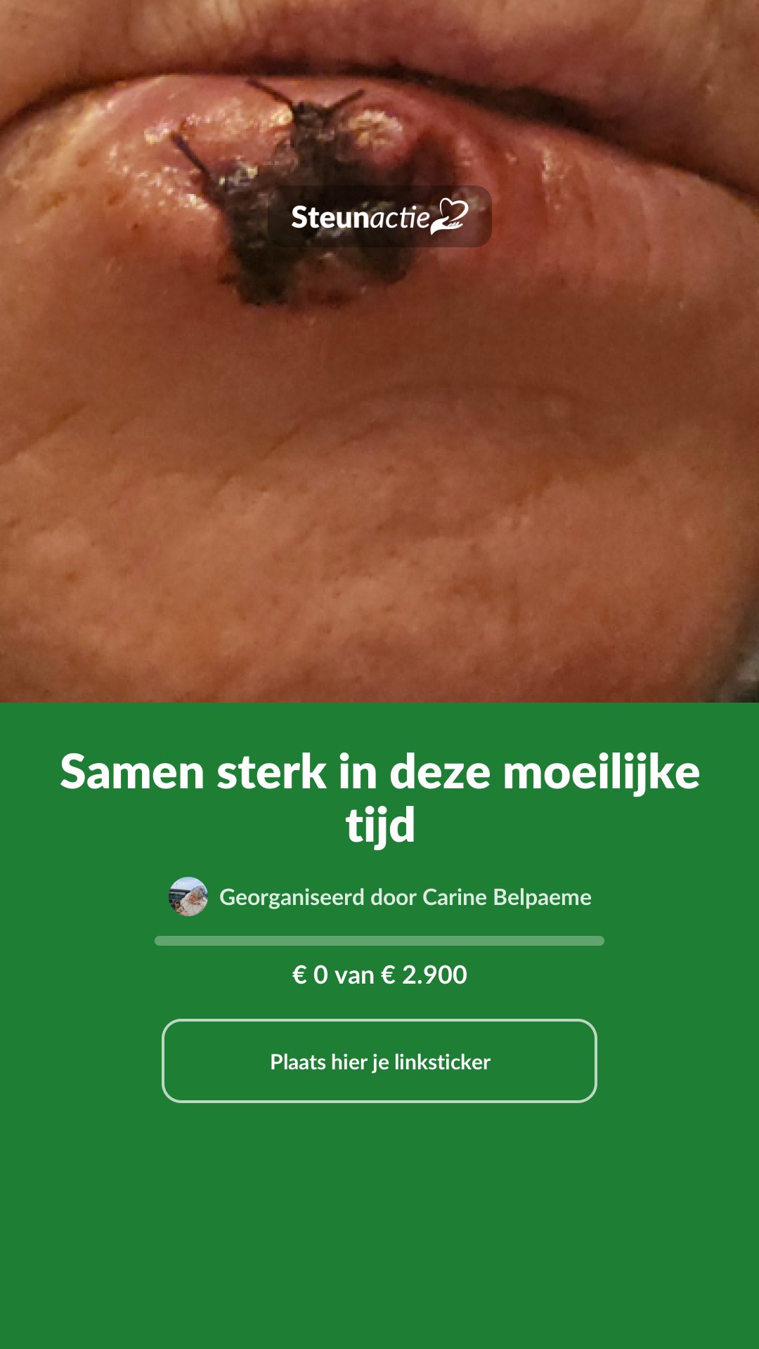 Voorbeeld van de afbeelding