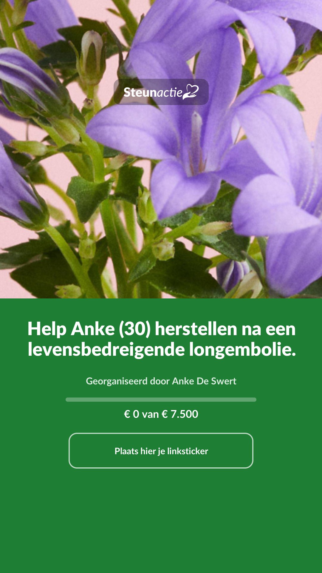 Voorbeeld van de afbeelding