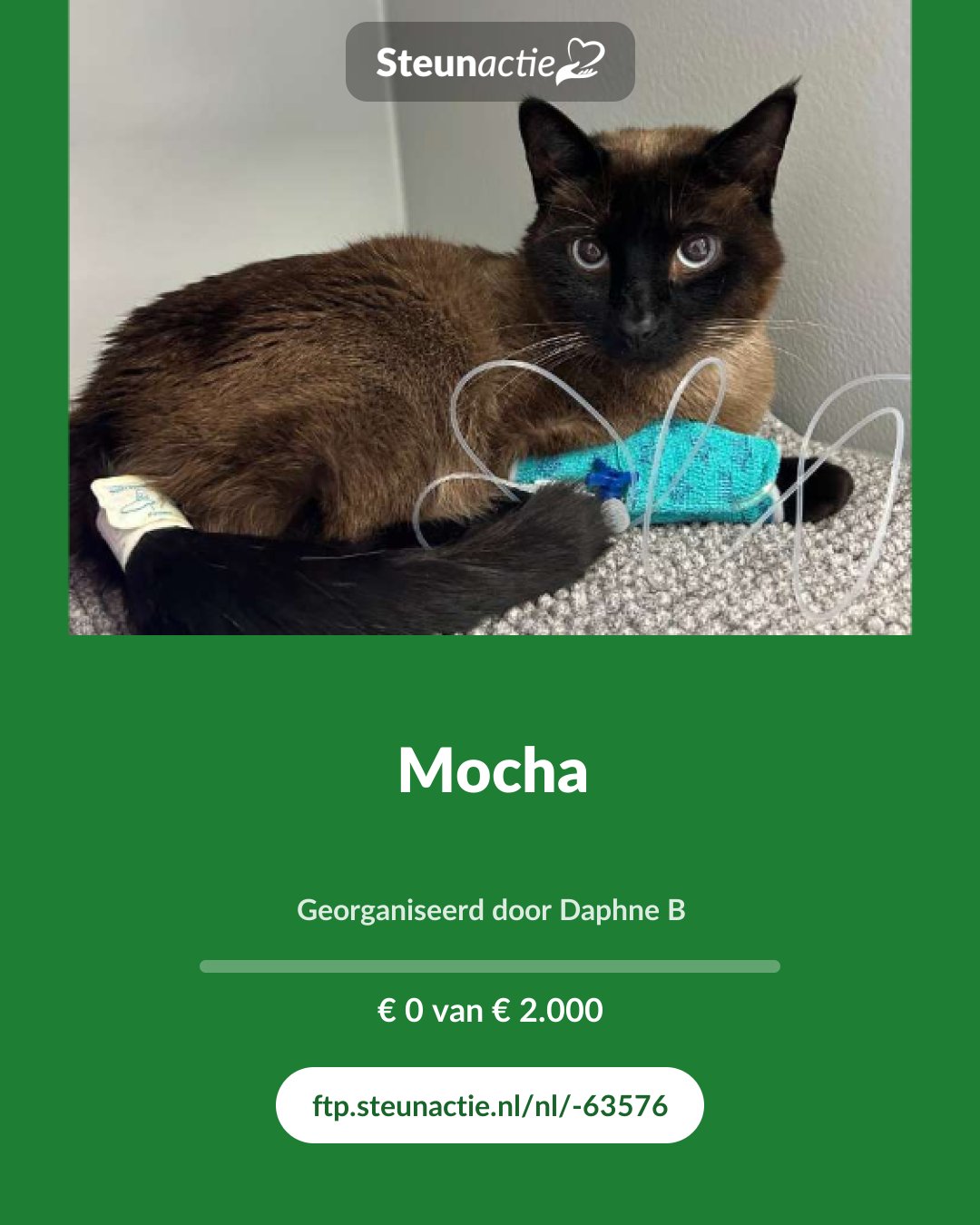 Voorbeeld van de afbeelding