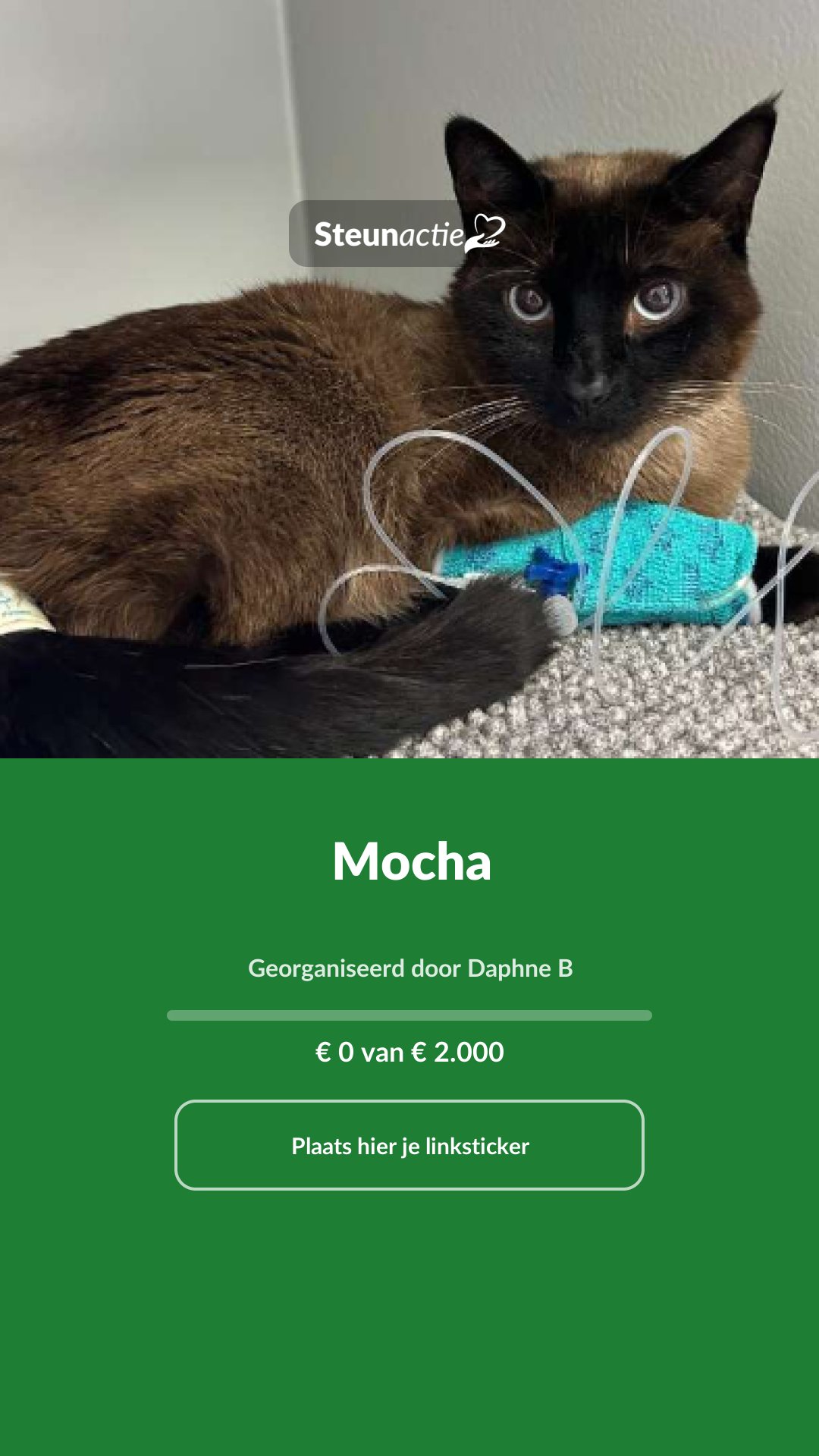 Voorbeeld van de afbeelding