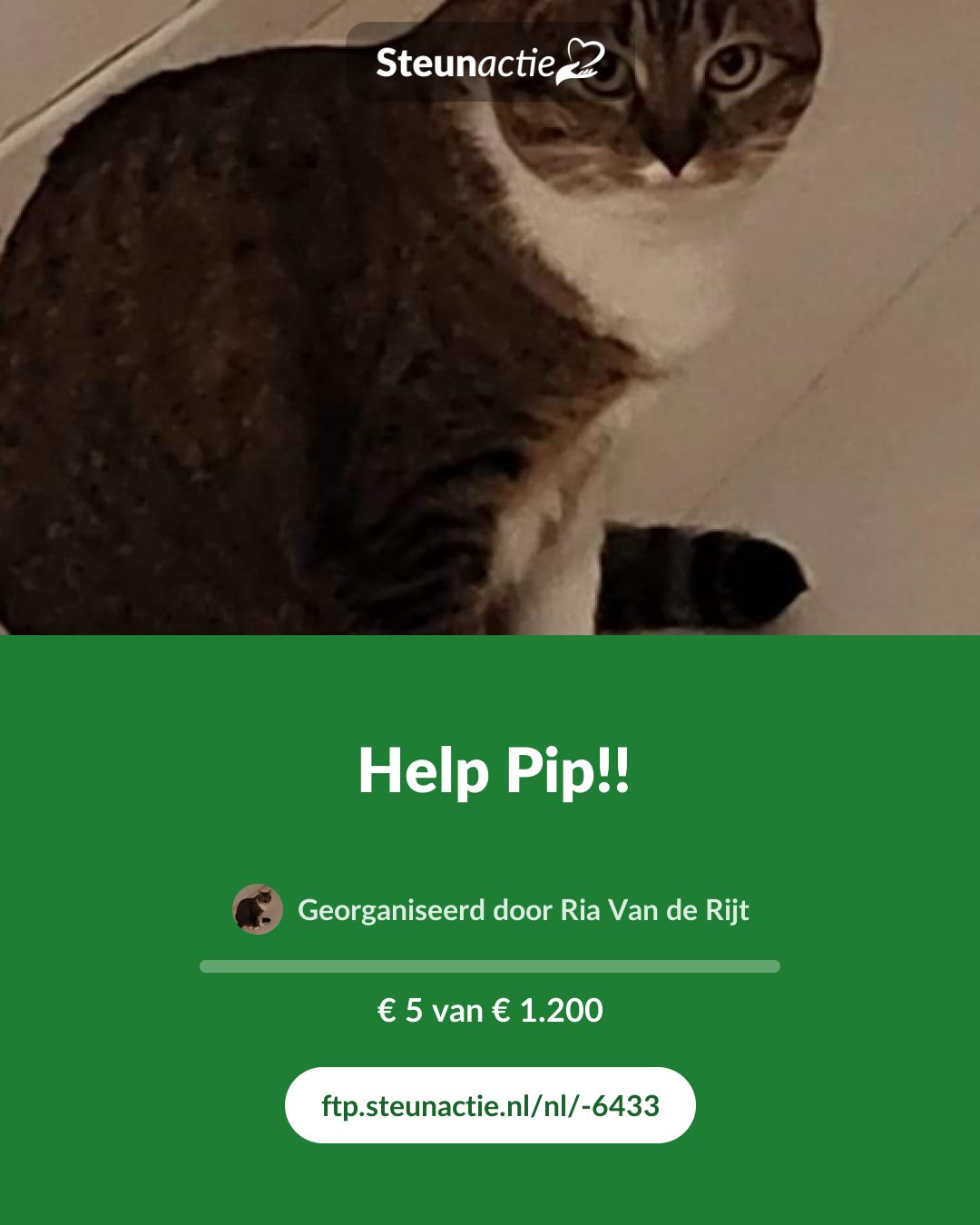 Voorbeeld van de afbeelding