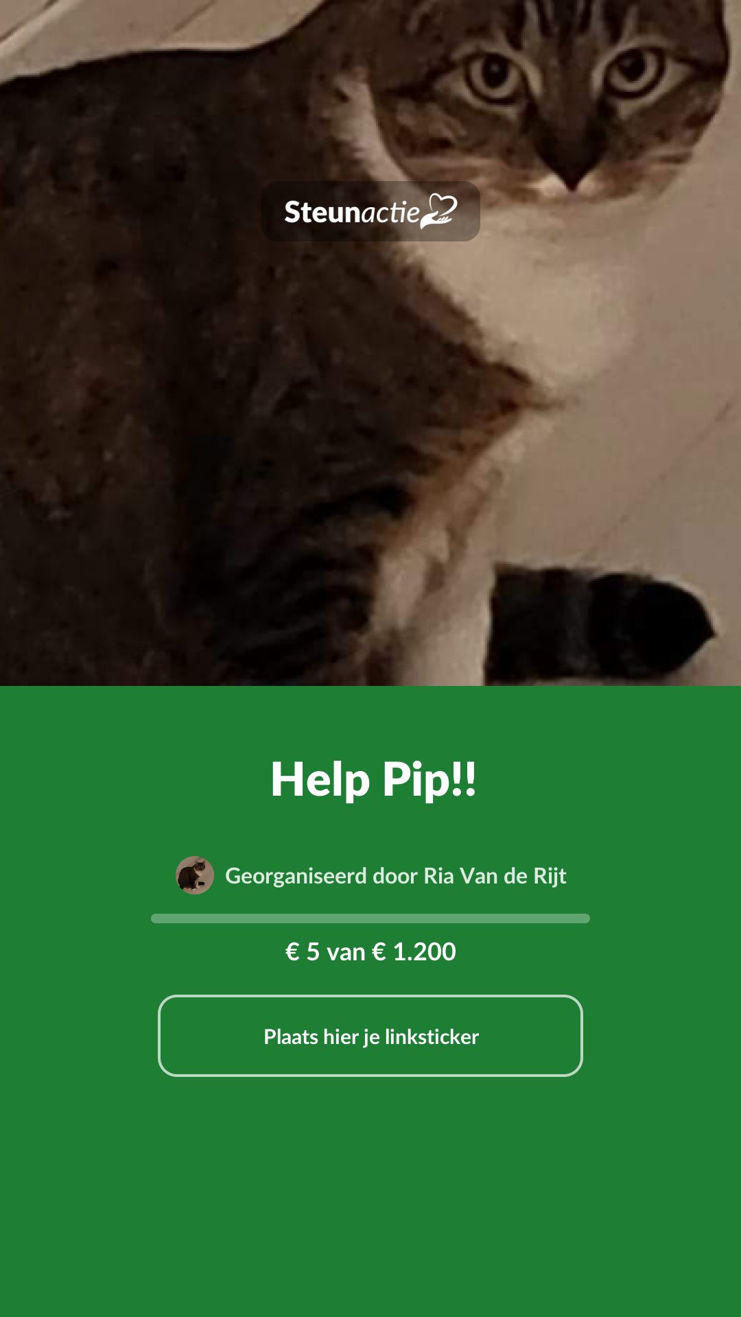 Voorbeeld van de afbeelding