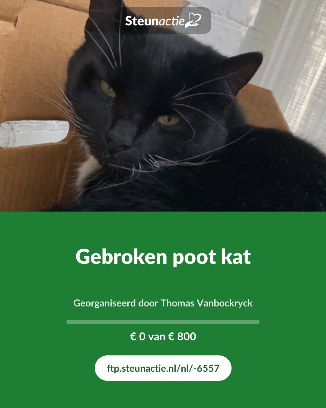 Voorbeeld van de afbeelding